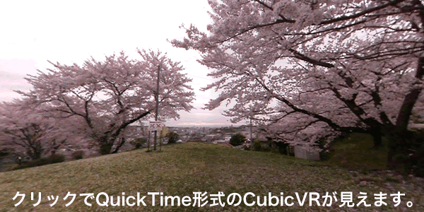 瀬戸公園03　辺り一面の桜吹雪